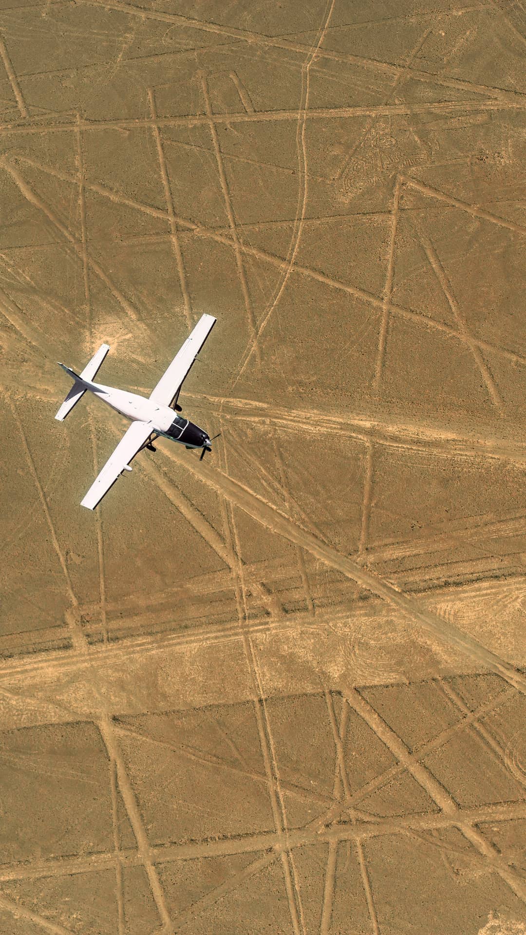 Nazca Lines Flight