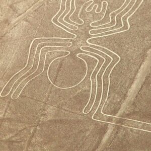 Aerial view of the massive Spider geoglyph, part of the ancient Nazca Lines etched into the brown desert floor in Peru.