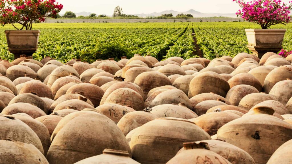 Cahuachi Pyramids Tour