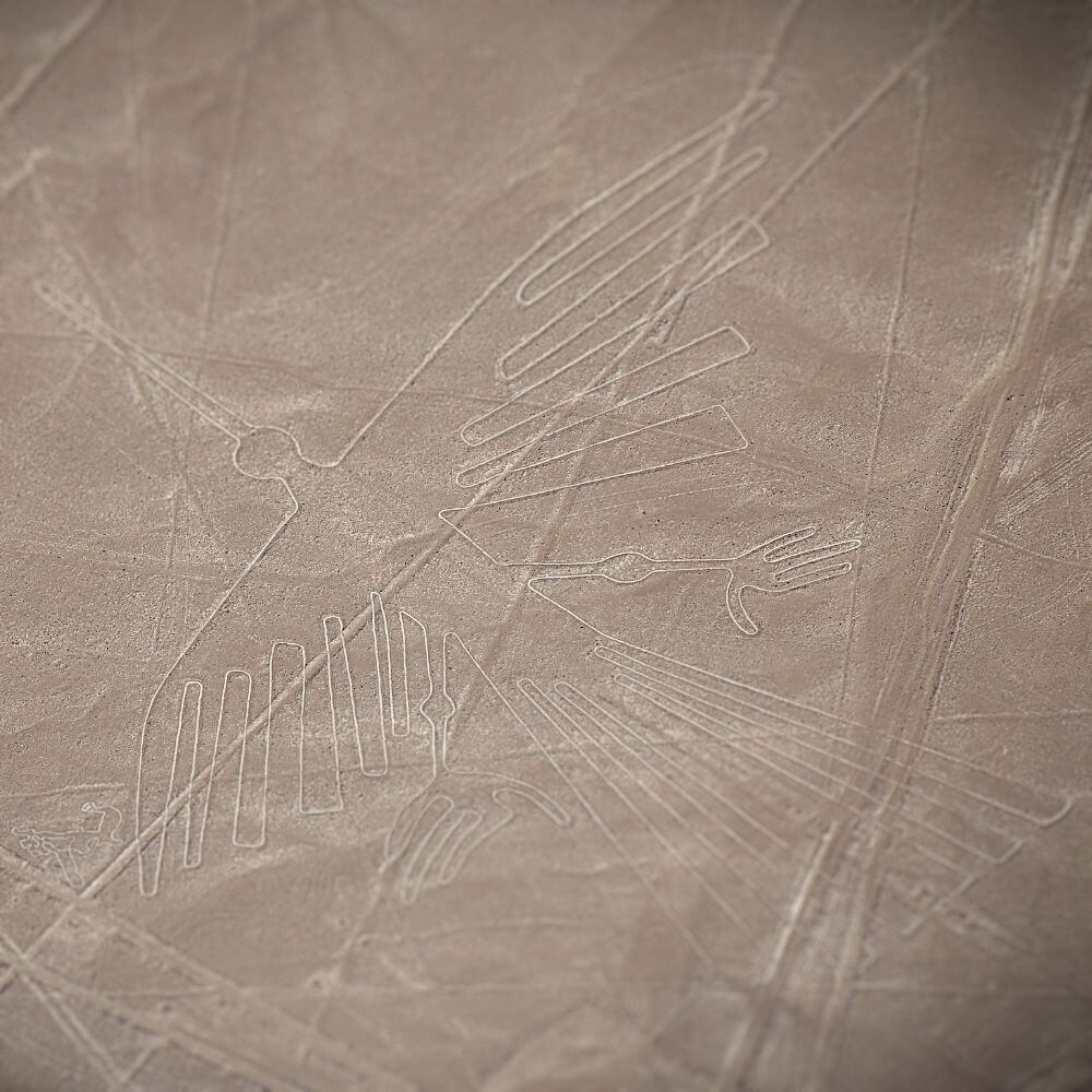The Condor Geoglyph – Nazca Lines