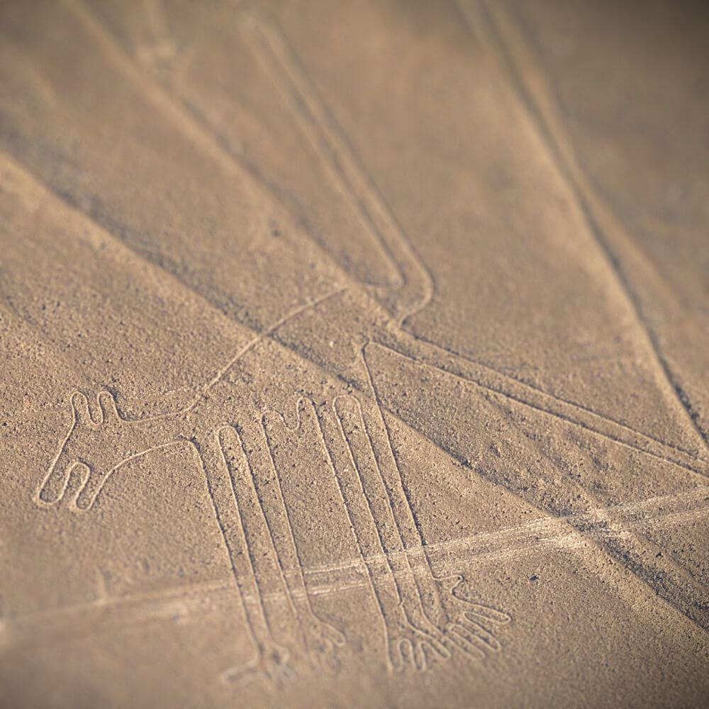 The Dog Geoglyph – Nazca Lines