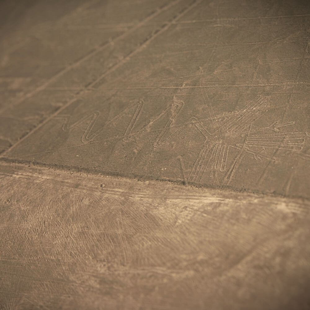 The Heron Geoglyph – Nazca Lines