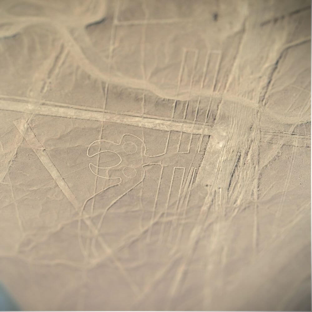 The Parrot Geoglyph – Nazca Lines