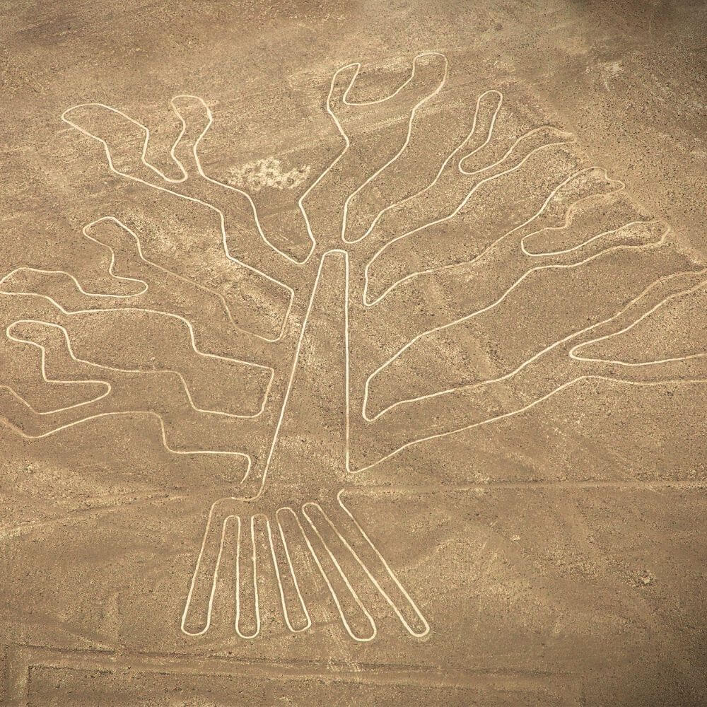 The Tree Geoglyph – Nazca Lines