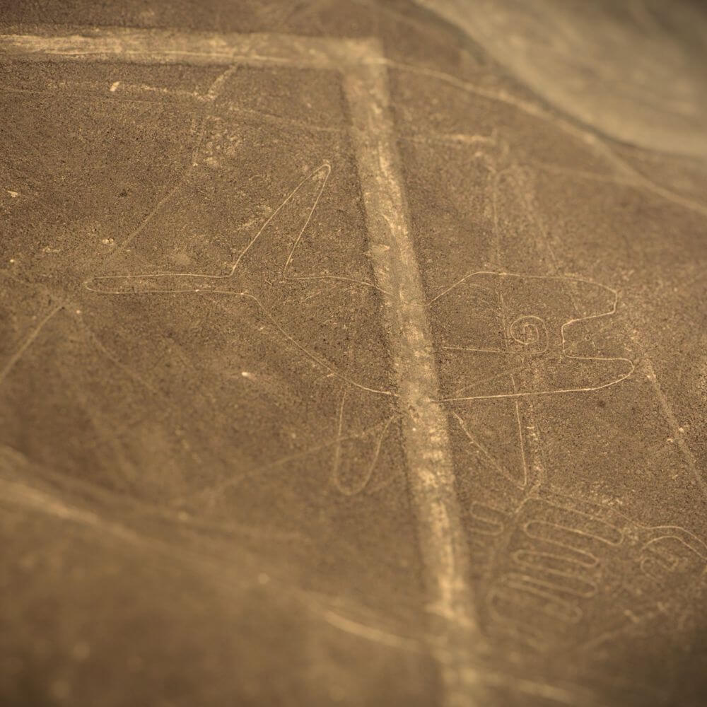 The Whale Geoglyph – Nazca Lines