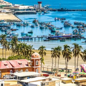 Panoramic view of Mancora beach featuring palm trees in the foreground, colorful buildings, and a harbor filled with fishing boats under a clear blue sky.