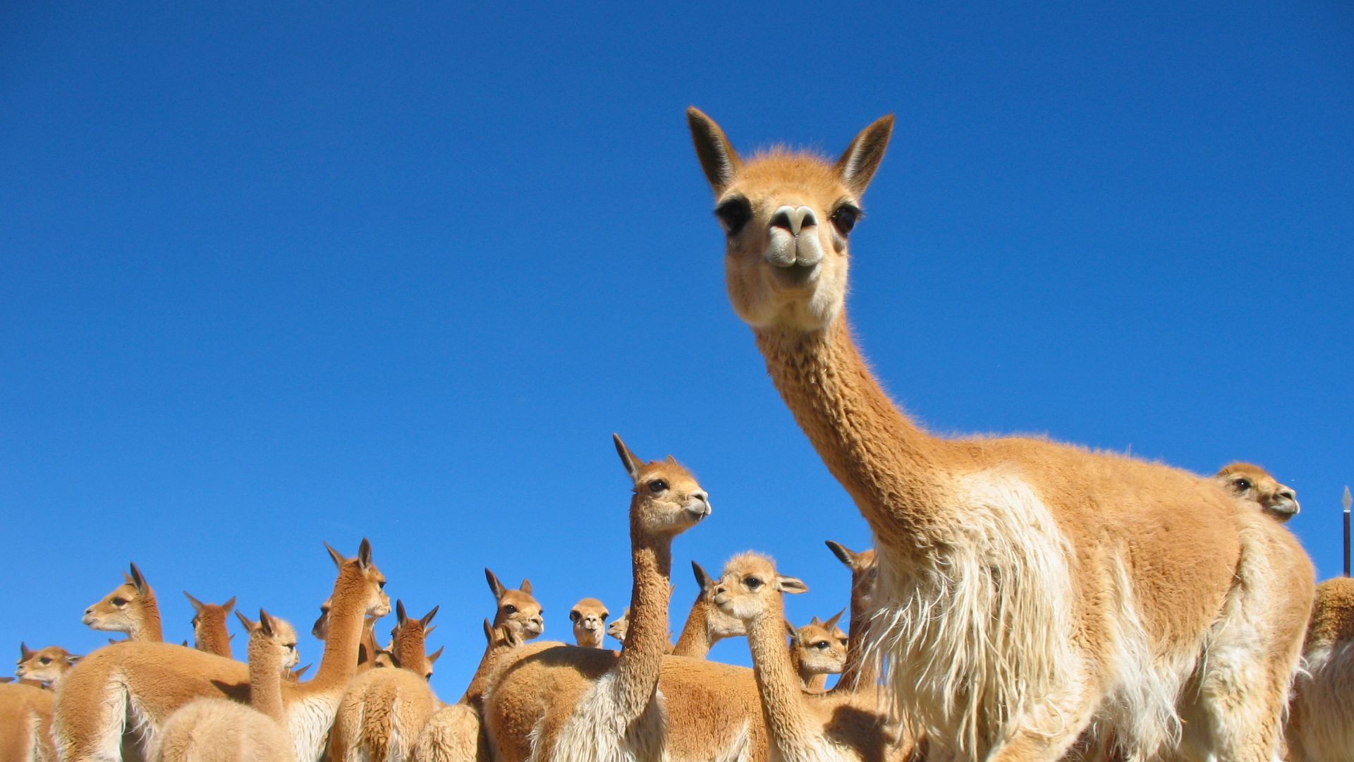 Ecotours