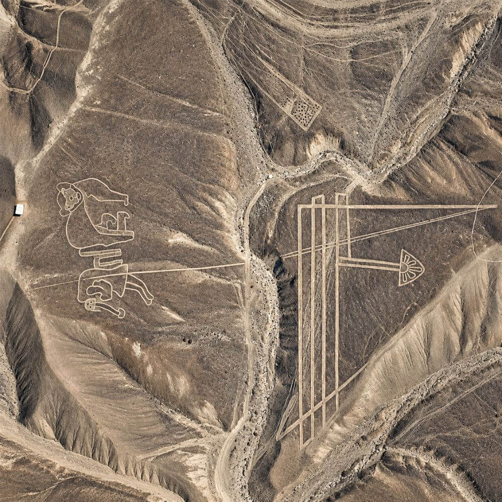 The Tumi Knife and Monkeys Geoglyphs