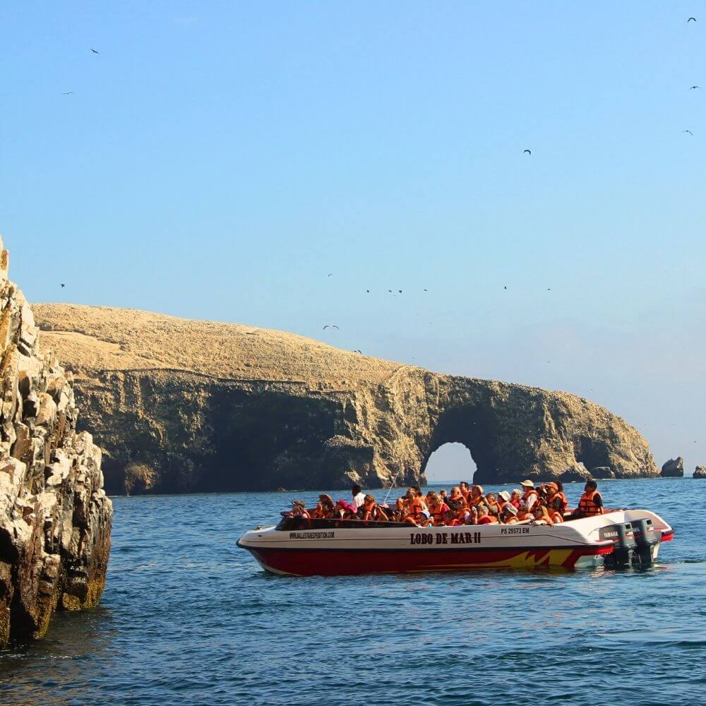 Nazca Lines and Ballestas Islands Tour from Lima - Foto 4